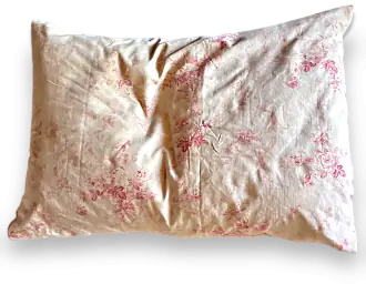 A standard adult pillow
